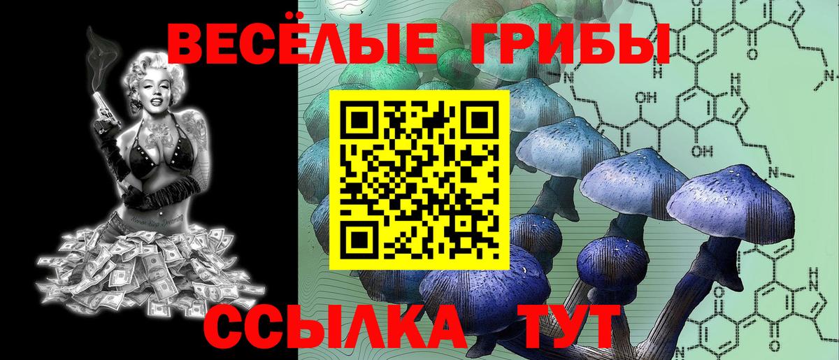 Сальск  Псилоцибиновые грибы Cubensis  Вход с VPN 