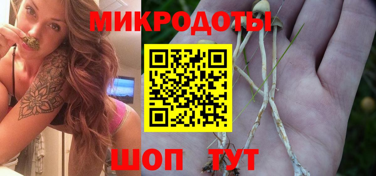 Псилоцибиновые грибы MAGIC MUSHROOMS Сальск