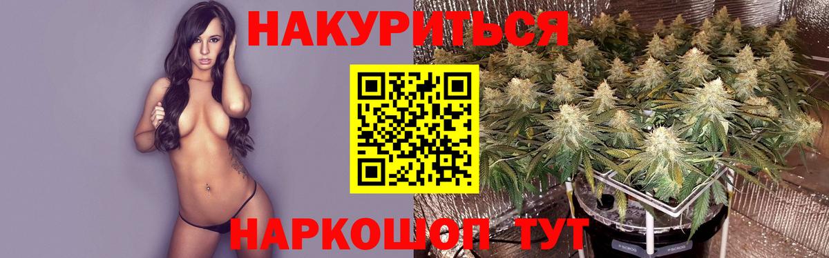 МАРИХУАНА OG Kush  Конопля ГИДРОПОН  Вход с VPN  Бошки марихуана Amnesia  МАРИХУАНА индика  Сальск 
